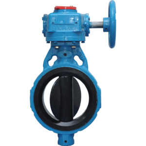 Flowserve AUDCO Slimseal Butterfly Valves, Wafer Flangeless, Gear Operated